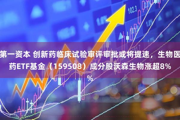 第一资本 创新药临床试验审评审批或将提速，生物医药ETF基金（159508）成分股沃森生物涨超8%