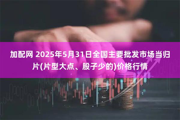 加配网 2025年5月31日全国主要批发市场当归片(片型大点、股子少的)价格行情