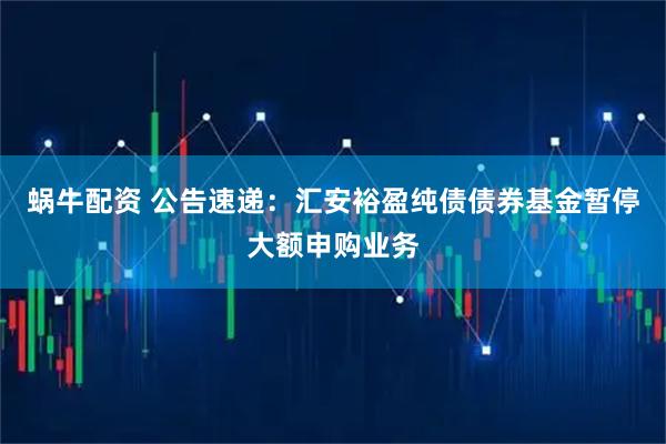 蜗牛配资 公告速递:汇安裕盈纯债债券基金暂停大额申购业务