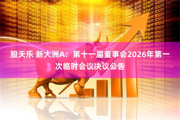 股天乐 新大洲A：第十一届董事会2026年第一次临时会议决议公告
