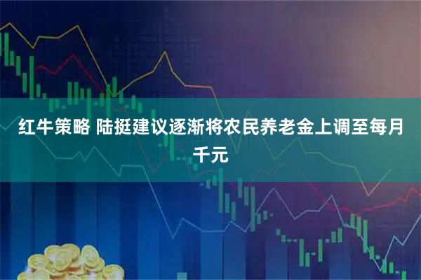 红牛策略 陆挺建议逐渐将农民养老金上调至每月千元